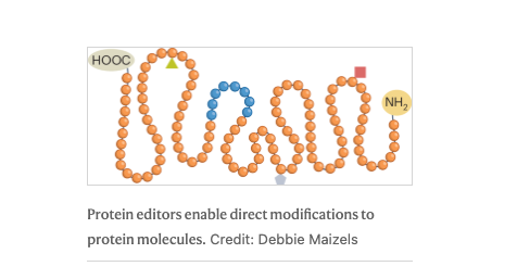 naturemethods's tweet image. A Method to Watch: Protein editing
nature.com/articles/s4159…