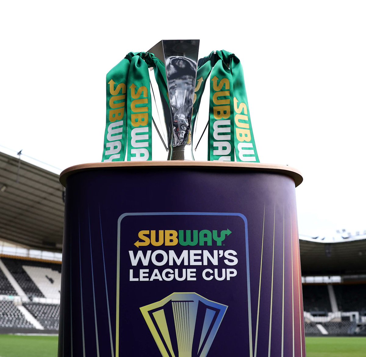 Tottenham Women Supporters Club tweet media