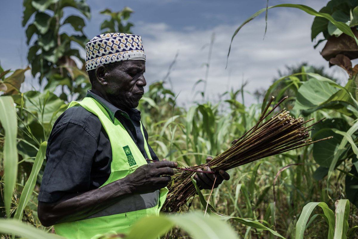 UNDP's tweet photo. Displaced people and the communities that welcome them work to rebuild their lives, restore dignity and recover their futures.

From Afghanistan and Uganda to Syria and beyond, we support government-led recovery that strengthens communities. https://t.co/FtsKqiHOrP

#RefugeeForum https://t.co/GvssNZo4Dk