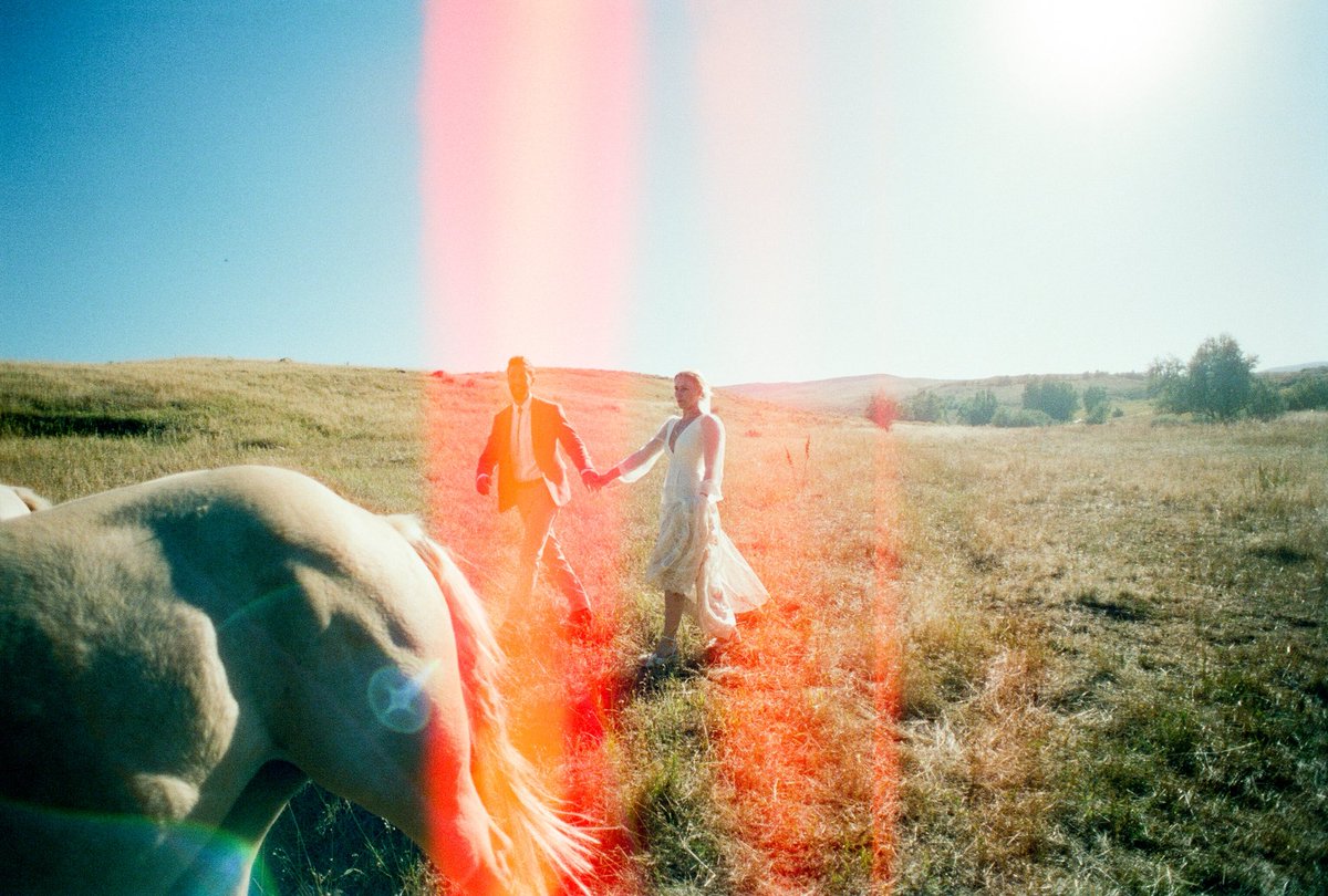 sean flanigan tweet media