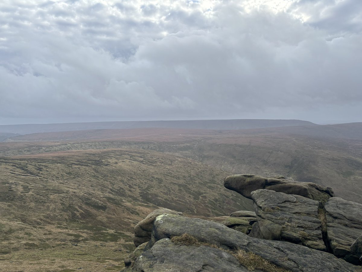 ☀️ Red 🌷 tweet media