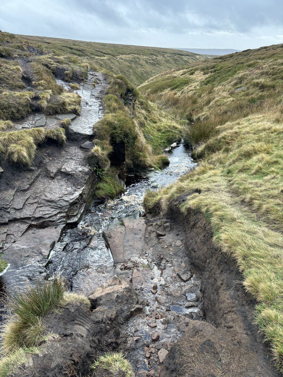 ☀️ Red 🌷 tweet media