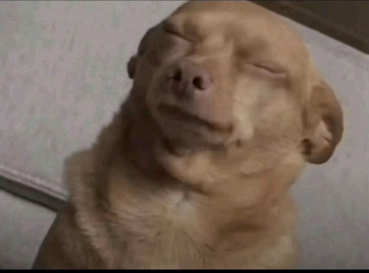 TroPec | تروبيك tweet media