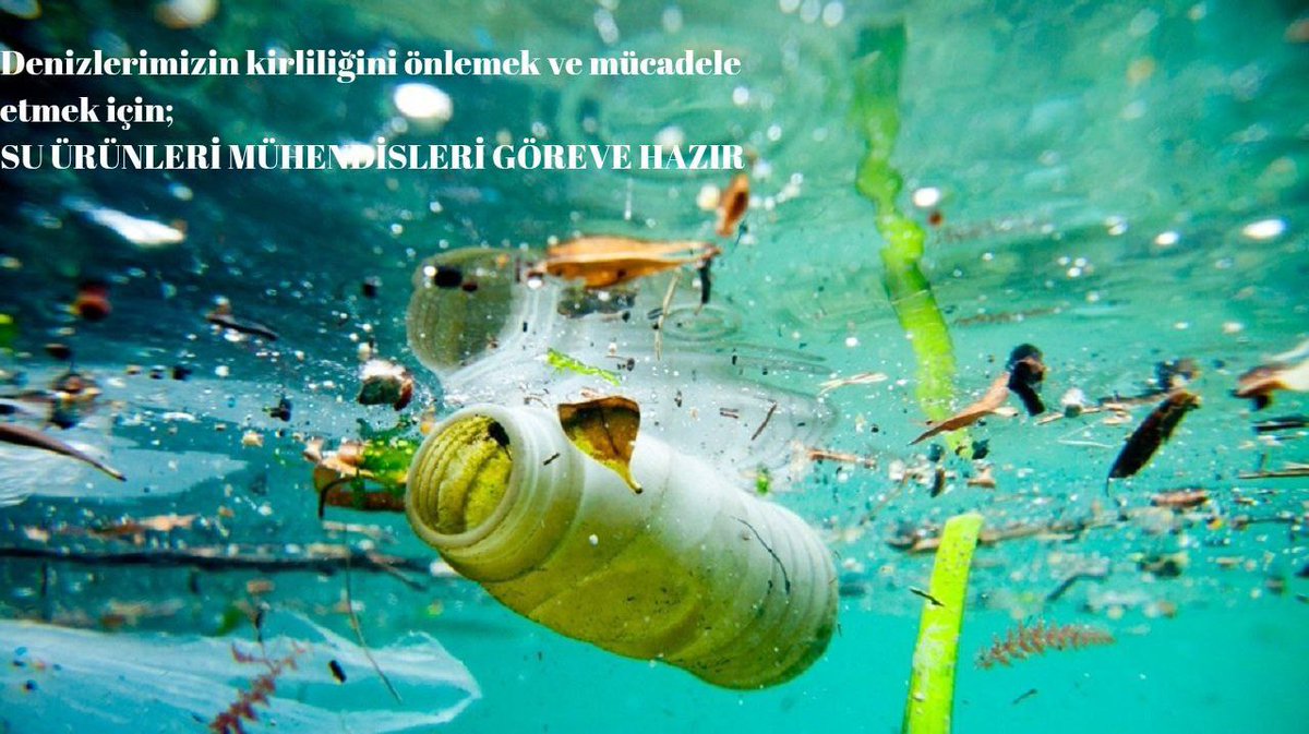 #SuÜrünleriMühendisleriAtamaBekliyor <a href="/ibrahimyumakli/">İbrahim Yumaklı</a> <a href="/TCTarim/">T.C. Tarım ve Orman Bakanlığı</a> <a href="/bekirgizligider/">Ebubekir GİZLİGİDER</a> <a href="/turgayturkyilmz/">Turgay TÜRKYILMAZ</a> <a href="/bsgmtr/">Balıkçılık ve Su Ürünleri Genel Müdürlüğü</a>