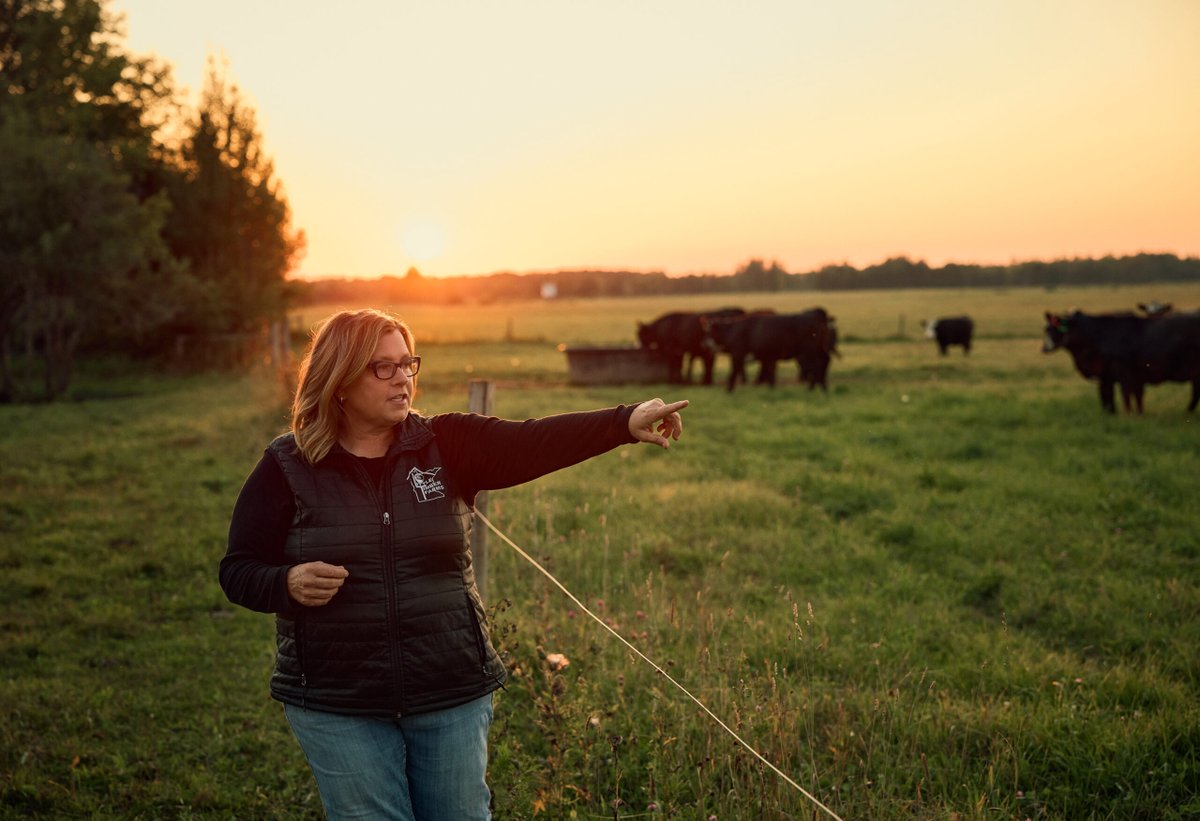 CommonGround tweet media