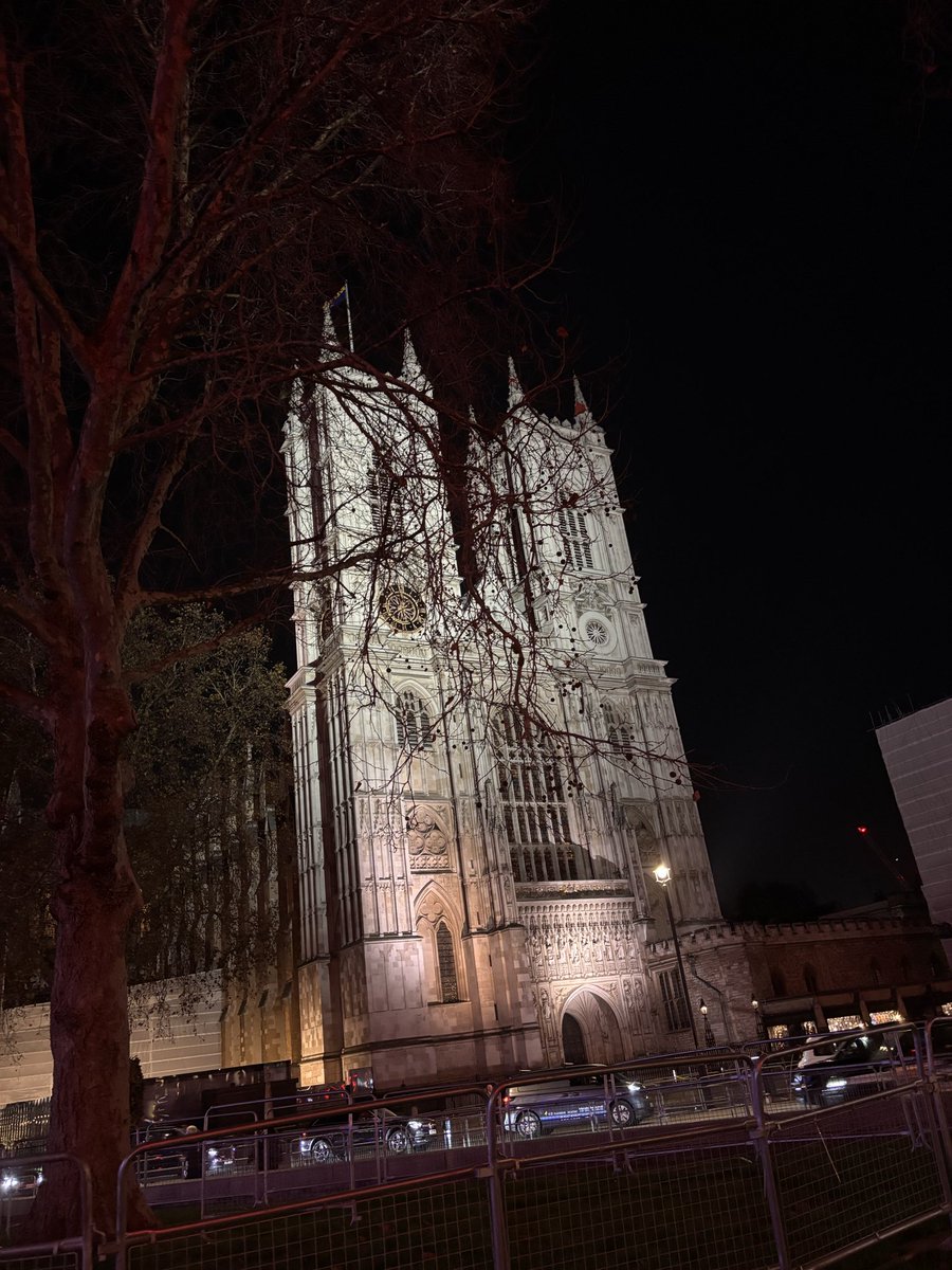 Yawkaroni's tweet image. Ugh I love it here