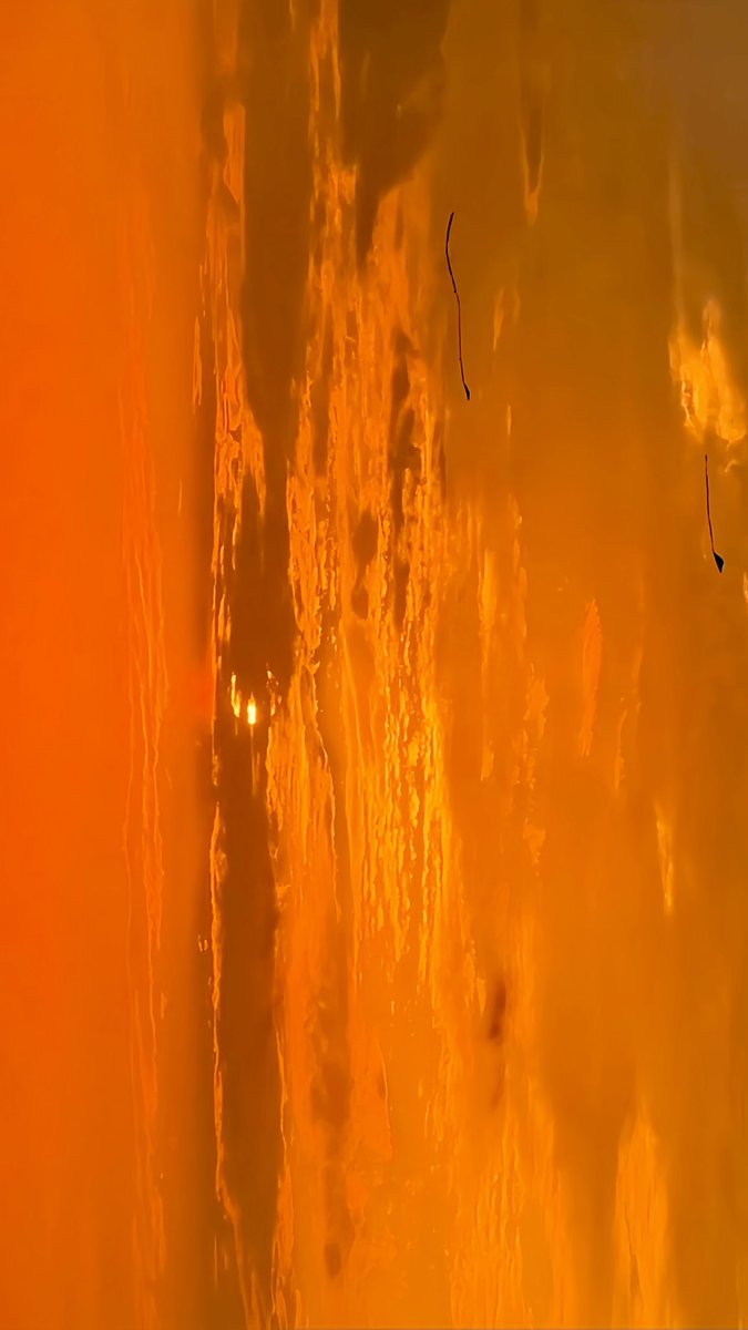 _ihwi's tweet image. 