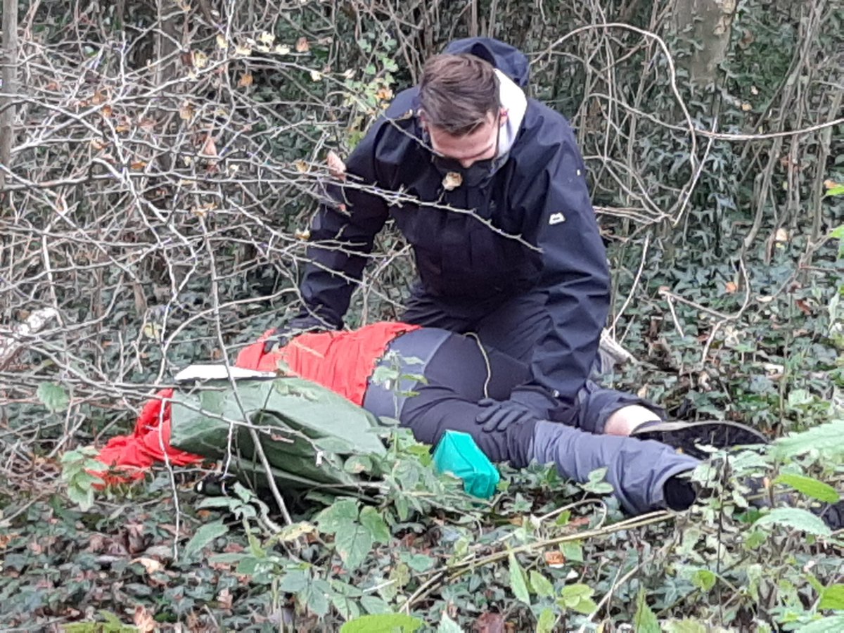 AlternativeAdventure tweet media