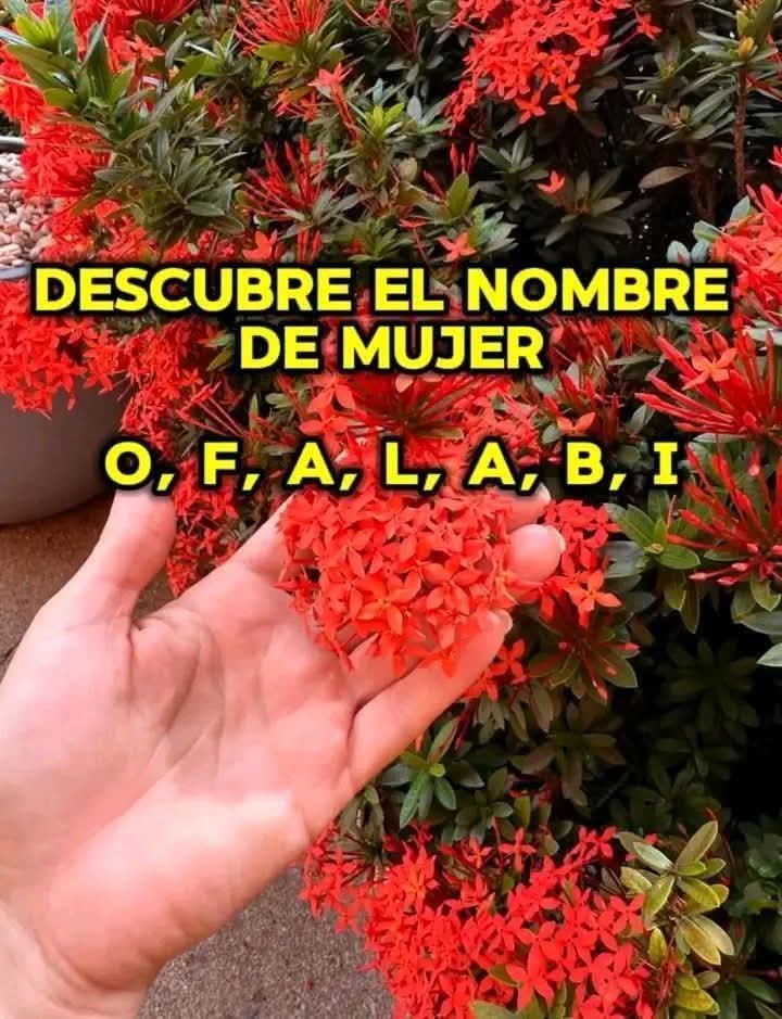 Dr. Alberto Blázquez tweet media