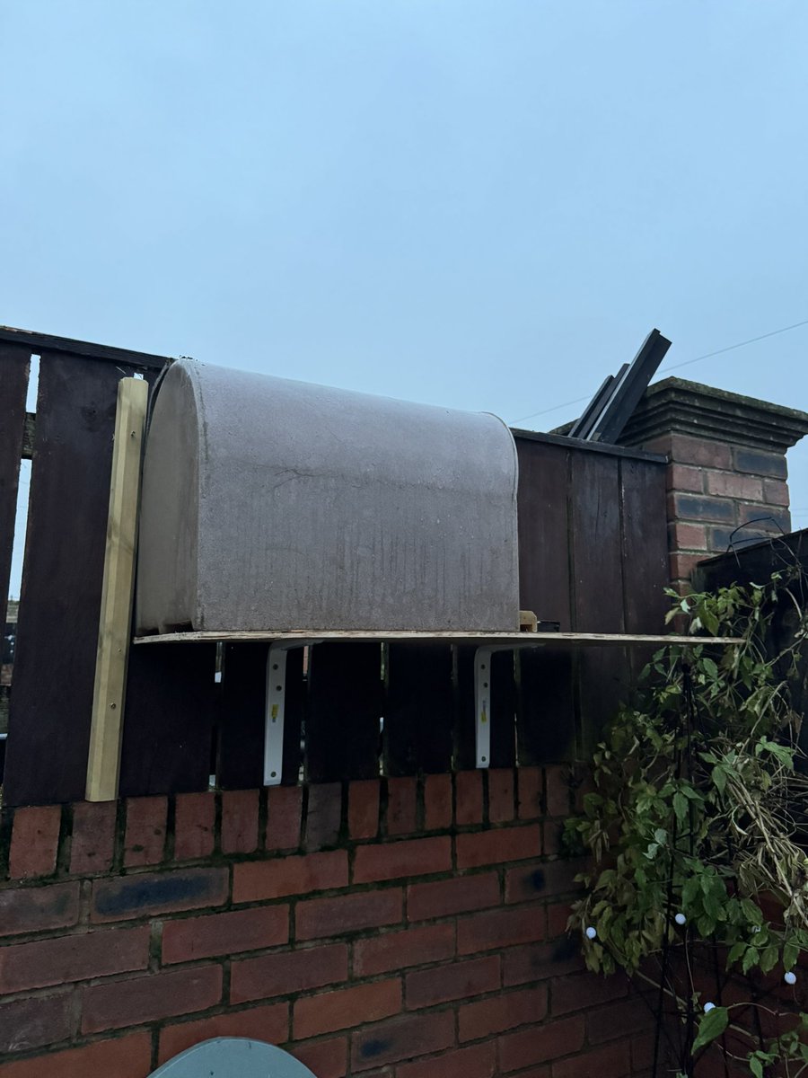 SpanielsSuper's tweet image. He’s not giving up!

He’s built a platform for my igloo so it’s higher up where I prefer to be 👍

I like it up there but I’m going to wait until it’s dark so he doesn’t think he’s won #JustBecause 
#ContraryCat 
#MoveInMartha