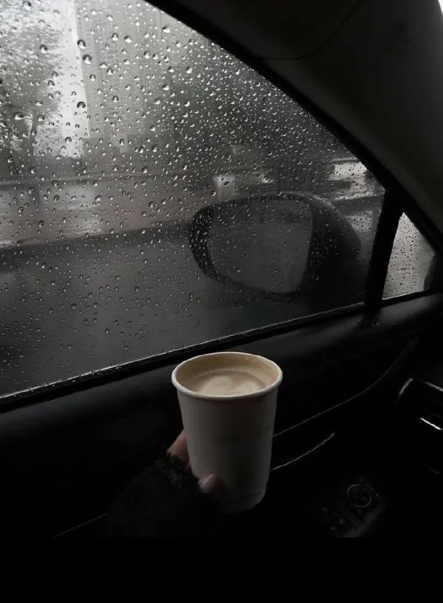 𓄃 ᓚ⅃І͛jċɺІ͛ ᘓᓆɹ̇Ը︎ tweet media