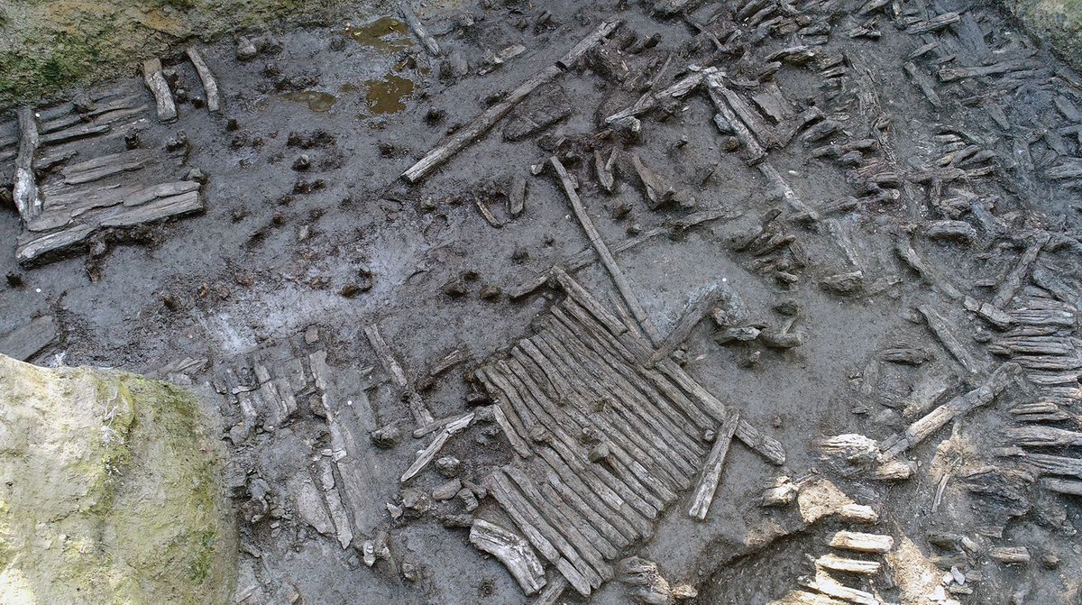 AntiquityJ's tweet image. NEW Wooden foundation under the #BronzeAge settlement mound of Tabakoni, Georgia. Preserved in the waterlogged soil of subsequent layers built onto the mound, radiocarbon and dendrochronological dating find Tabakoni was re-used over 1.5 millennia.

🆓 doi.org/10.15184/aqy.2…