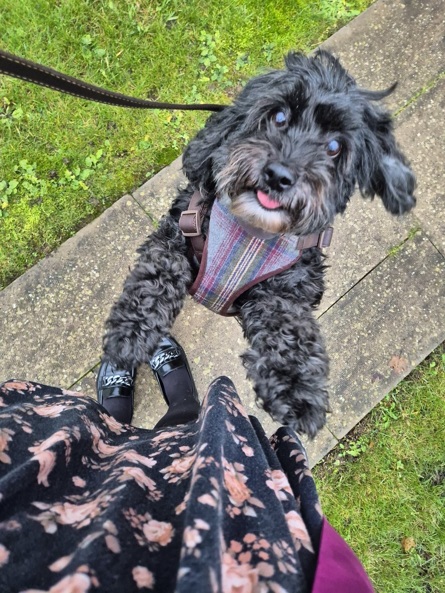 Goodnight little one ❤️