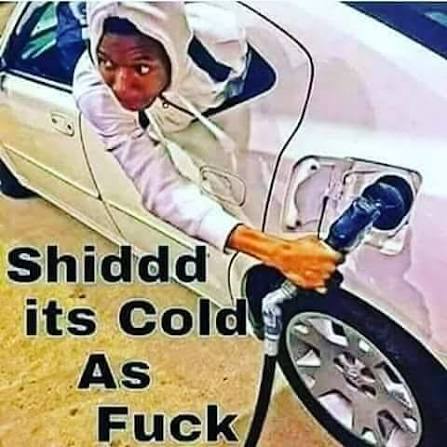 taking the dog outside in the snow is top 10 worst experiences oat.