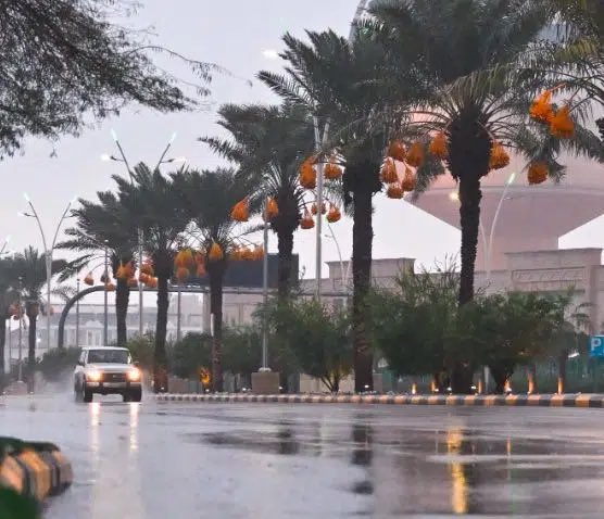 5 تنبيهات مهمة لتعزيز السلامة العامة خلال الأجواء الممطرة #الامطار 