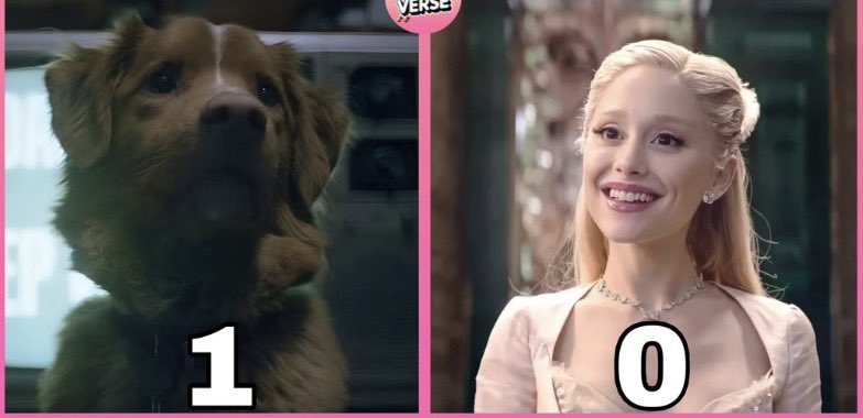 margotroebbie's tweet image. 