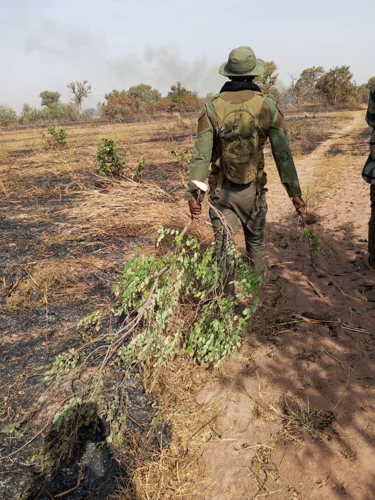 Enda Pronat: Protection naturelle des terroirs tweet media