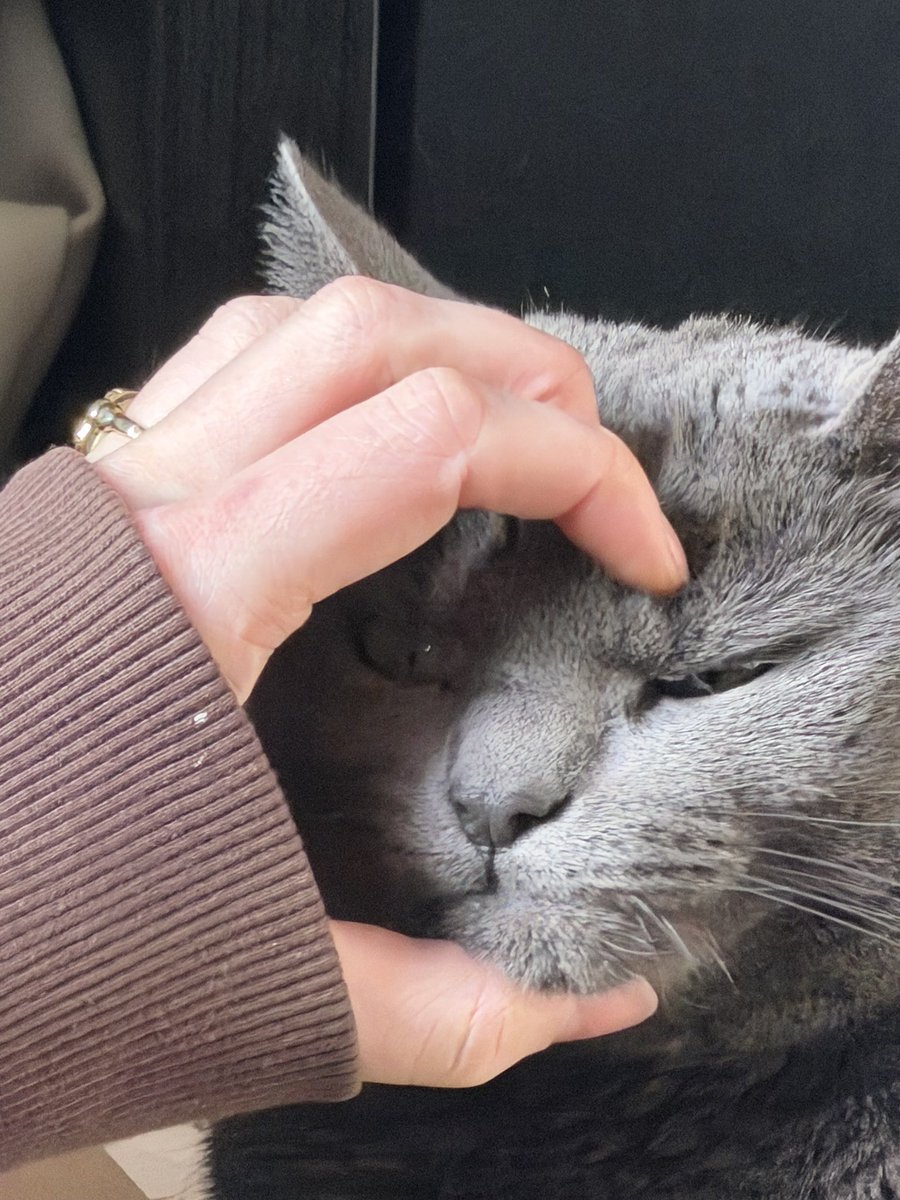 He is oke, just a bit grumpy :3