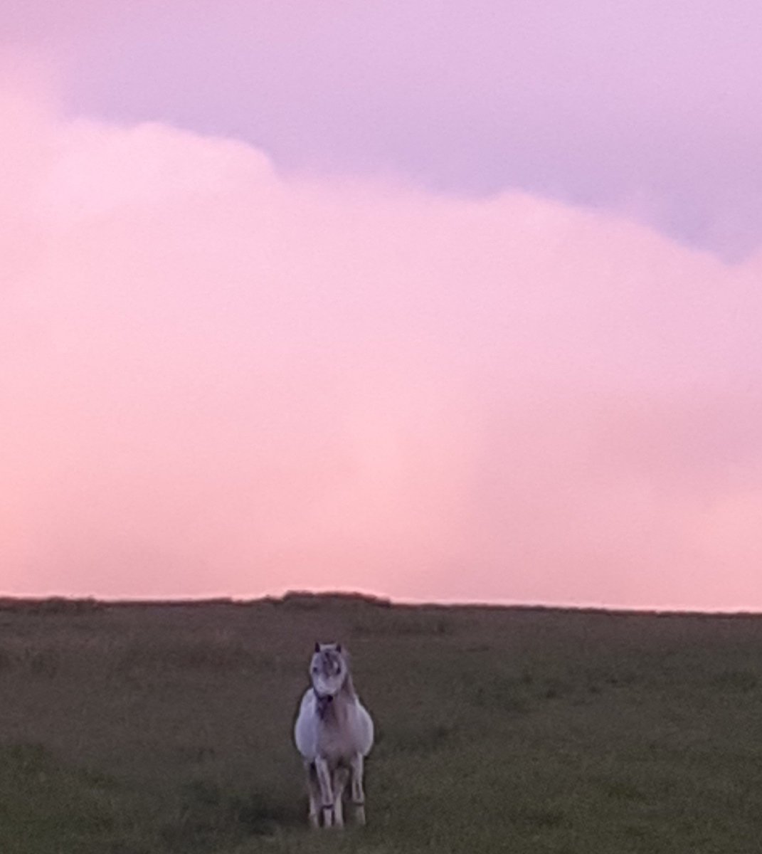 andy luff (@andyluff8) on Twitter photo 