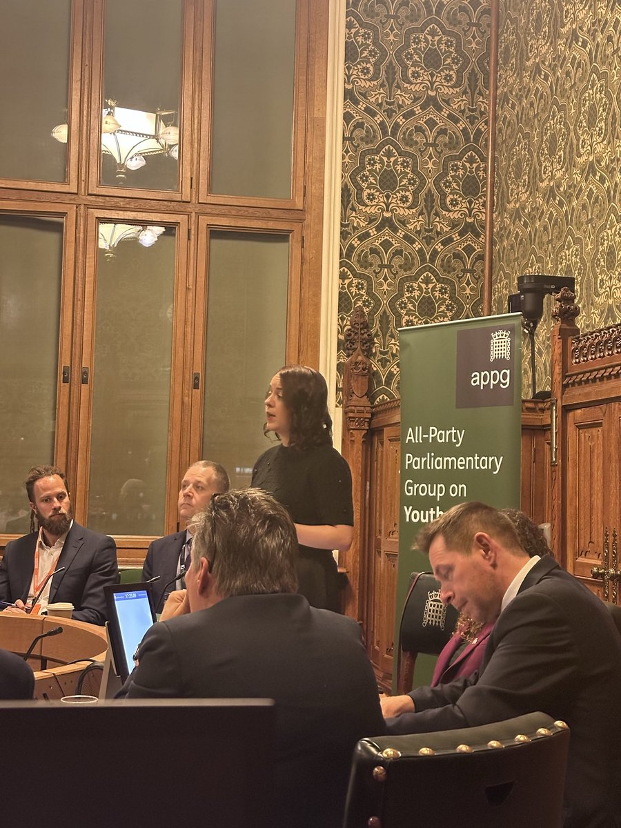 APPG on Youth Affairs tweet media
