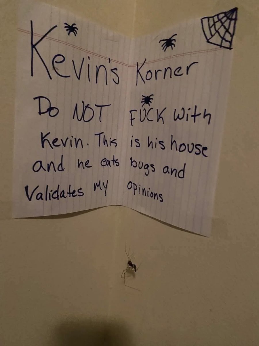 Alien Perspective (@wigglyair) on Twitter photo 