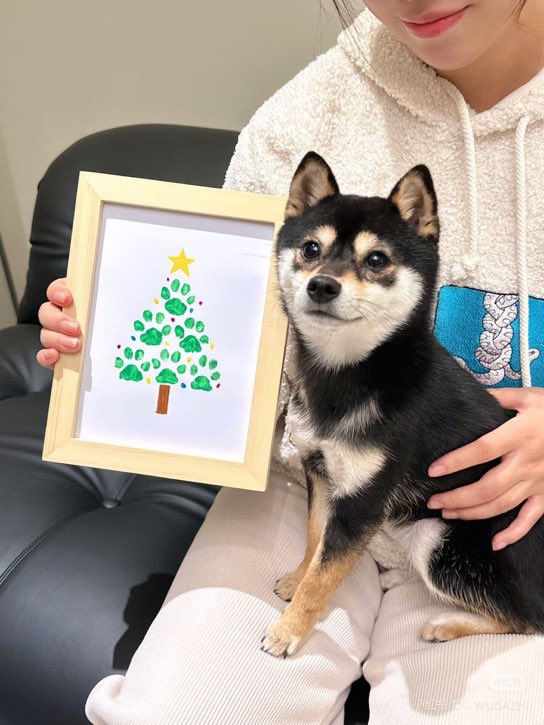 everythingdogss's tweet image. 