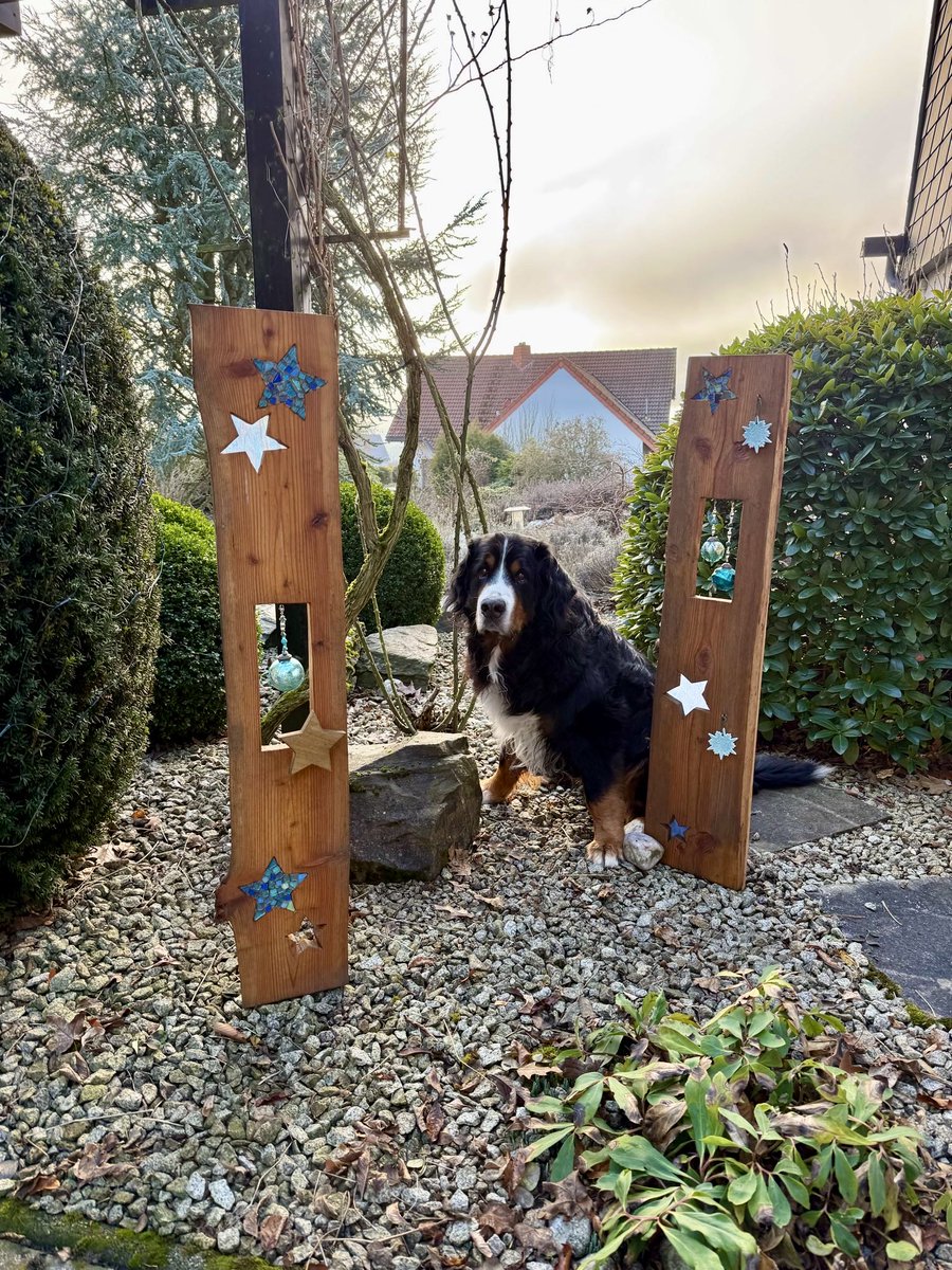 Ich freue nich ja immer sehr, wenn ich gezeigt bekomme, wo meine Arbeiten ihr neues Zuhause gefunden haben. 
Aber das Bild von den beiden Weihnachtsstelen zusammen mit dem zauberhaften <a href="/CasparNuff/">Caspar</a>  ist einfach nur wunderschön und macht mich richtig glücklich 😍 Danke!!!