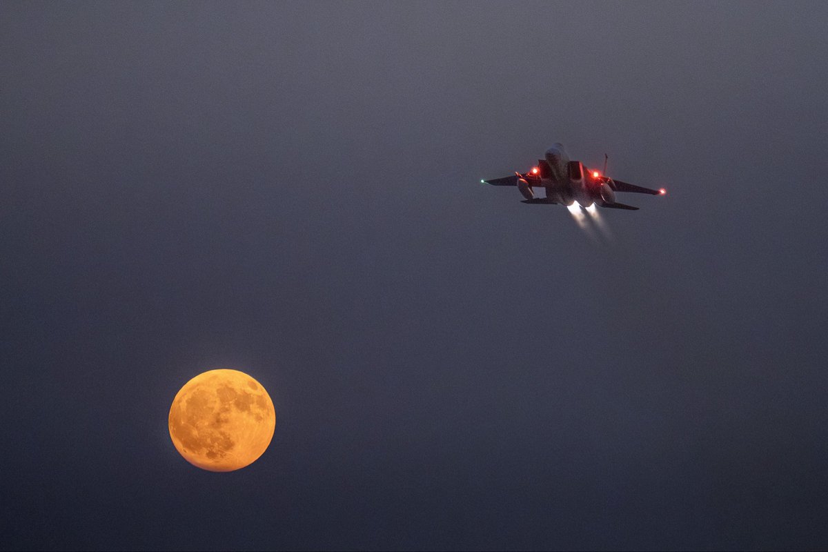 Lee Amber - Photography ☕️📸 tweet media