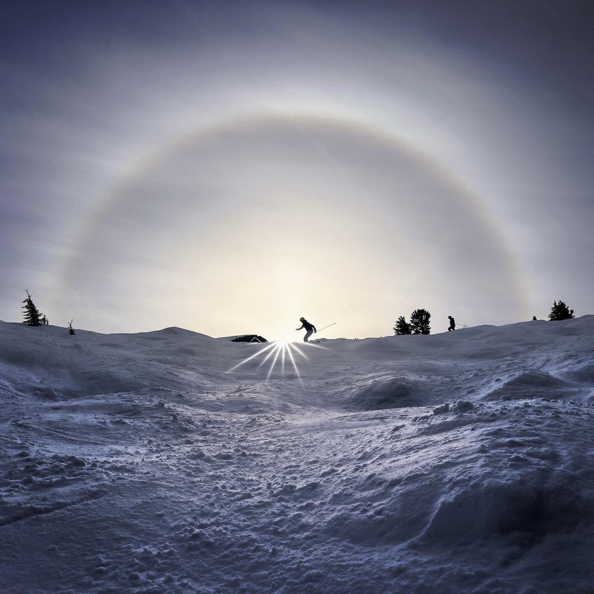 Lee Amber - Photography ☕️📸 tweet media