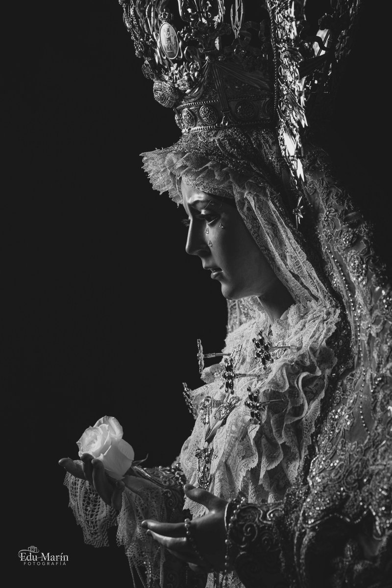 La rosa sobre el pañuelo y la niña del azulejo