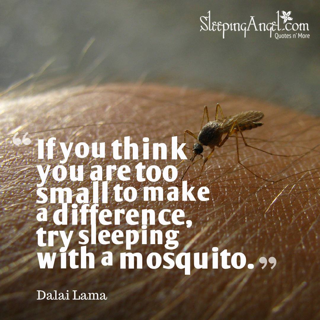 sa_treasures's tweet photo. It's Inspirational Monday Time!

If you think you are too small to make a difference, try sleeping with a mosquito.
~Dalai Lama

https://t.co/i9HuLjqMi6

#MakeADifference #SmallButMighty #DalaiLamaQuotes #Inspiration #MotivationalQuote #PowerOfSmall #PositiveImpact #HumorInLife https://t.co/ewOGr0T3Eb
