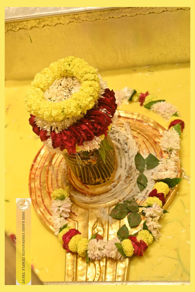 ShriVishwanath's tweet photo. श्री काशी विश्वनाथ जी की सप्तऋषि आरती I
#kashivishwanath #kashi #sanatandharma #banaras https://t.co/zyY8qAH1U3