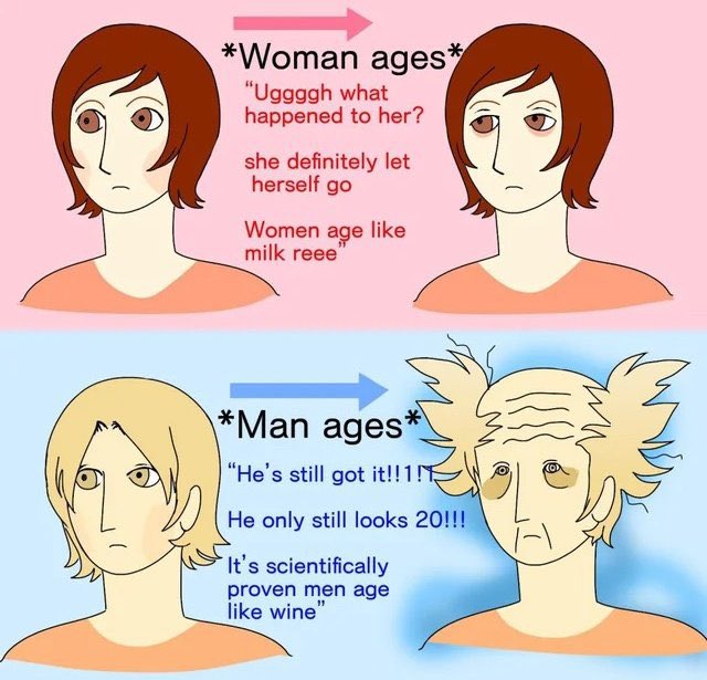 птица-тупица tweet media