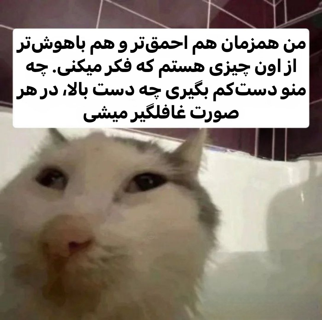 379 (@379talks) on Twitter photo 