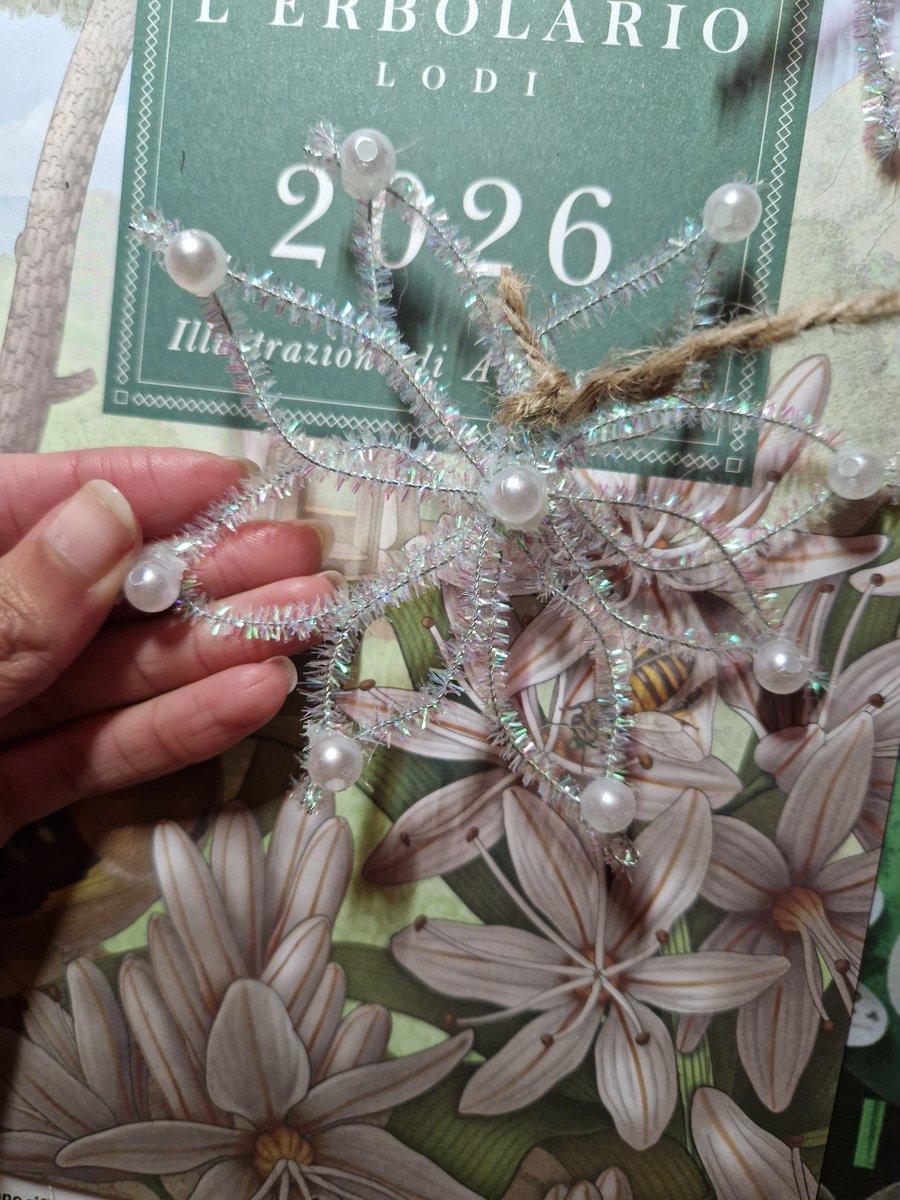 ...et bien quest'anno per la prima volta non abbiamo messo le decorazioni natalizie.
Sarà il primo Noël senza papà. 
Ho solo appeso delle stelle fuori dalla porta.