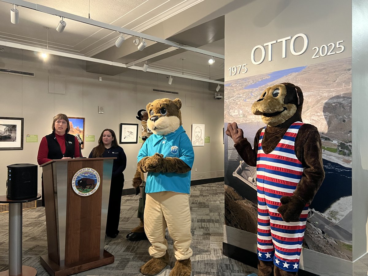 usbr's tweet photo. 🦦 As part of the yearlong #America250 celebration, we marked a major Reclamation milestone in Washington, D.C., at the @InteriorMuseum—retiring one of Otto Otter’s historic costumes and unveiling his modern redesign.

Otto now represents safety across canals, dams and reservoirs, reflecting Reclamation’s mission.

Special thanks to @BLMNational's Seymour Antelope for joining his buddy Otto and highlighting our shared commitment to public safety and stewardship on public lands. 💧⚡

#OttoOtter50 #Reclamation #WaterSafety #Infrastructure #PublicService