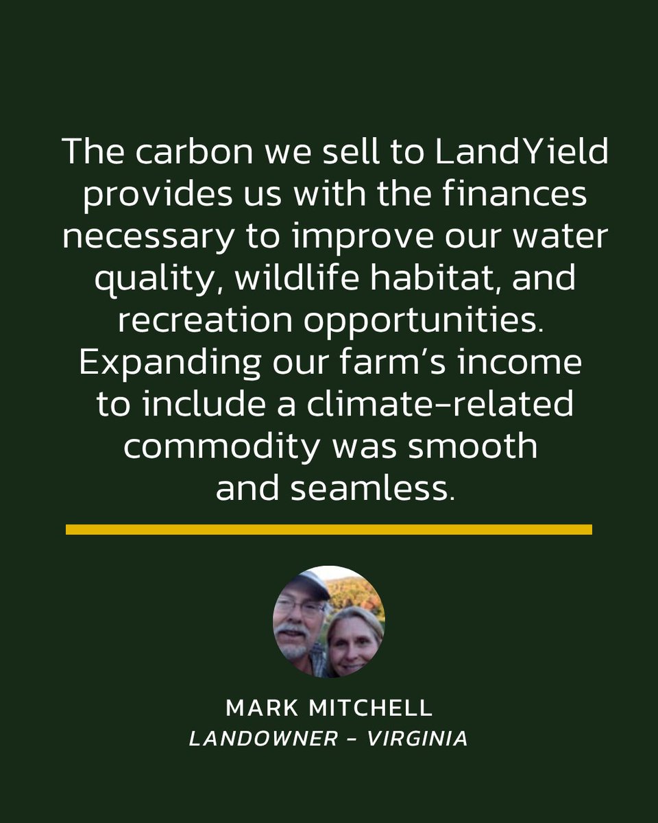 LandYield tweet media