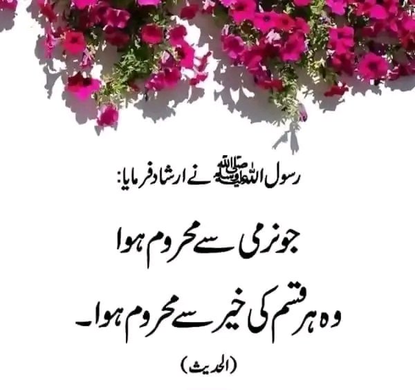 ChotiSheikhni's tweet photo. https://t.co/k4a4Z0P6i1