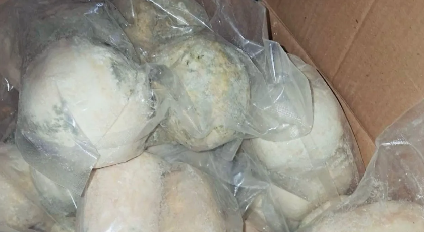 الأردن.. الغذاء والدواء تغلق مستودع جميد غير مرخص بعمّان 