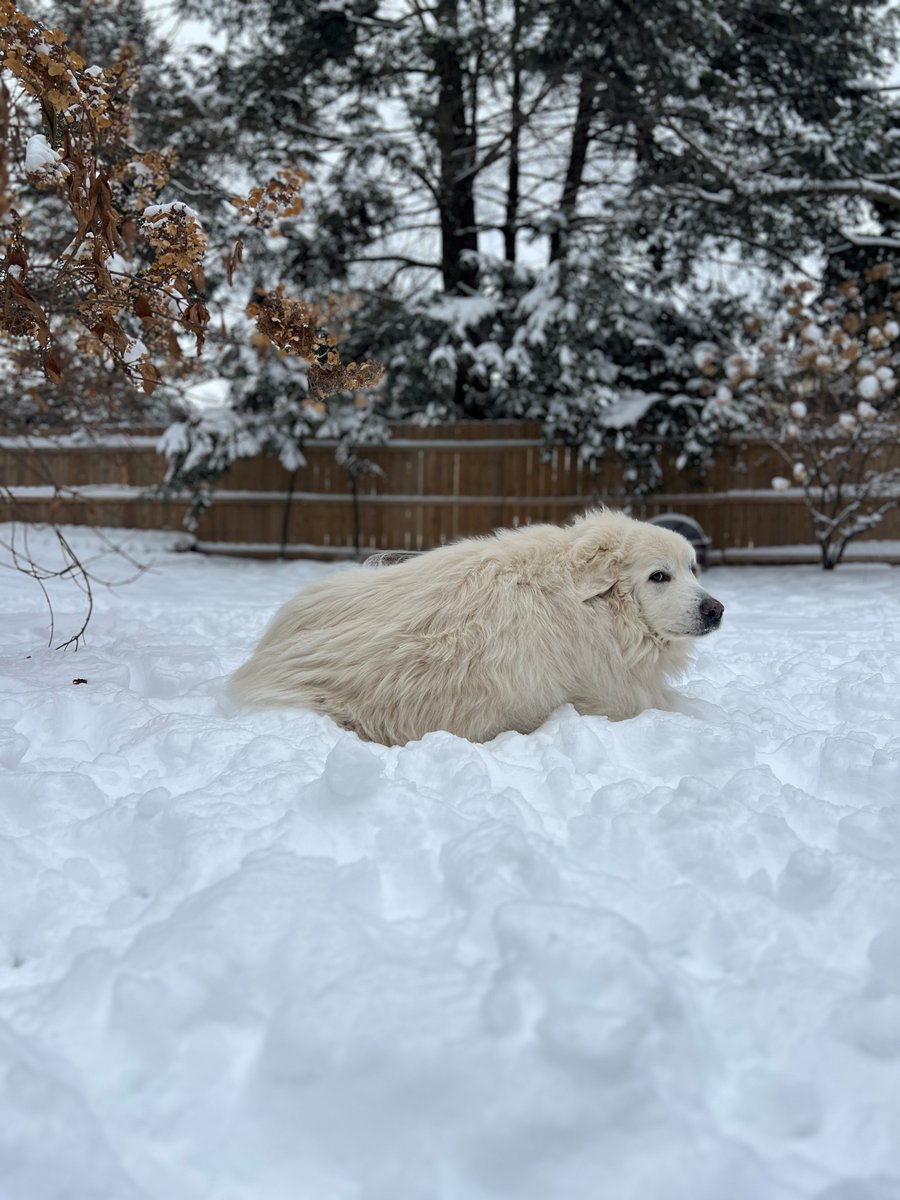 Operation Homefront tweet media