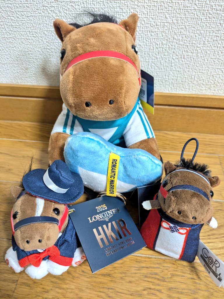 記念にロマンチックウォリアーのぬいぐるみと香港国際競走の記念グッズ