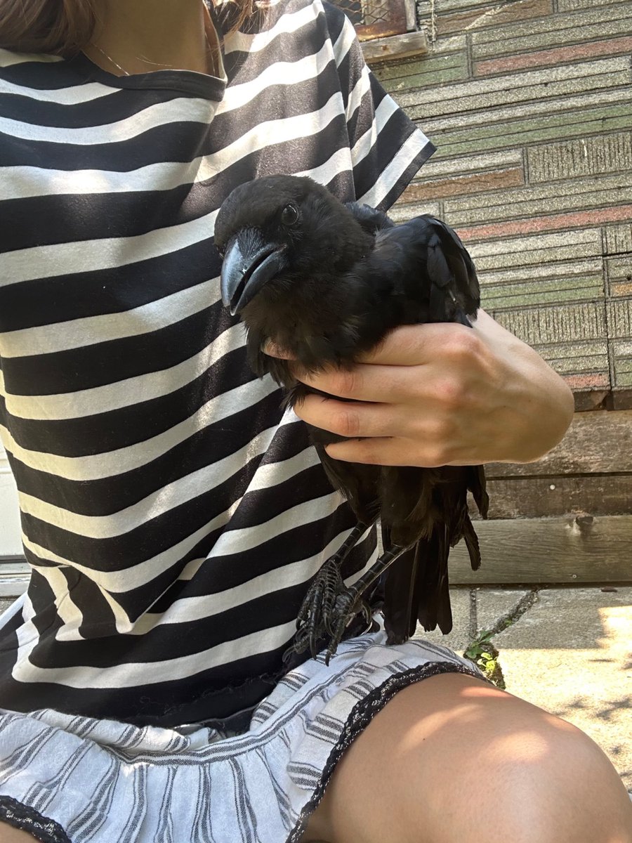 유나 (@yunamiuv) on Twitter photo 