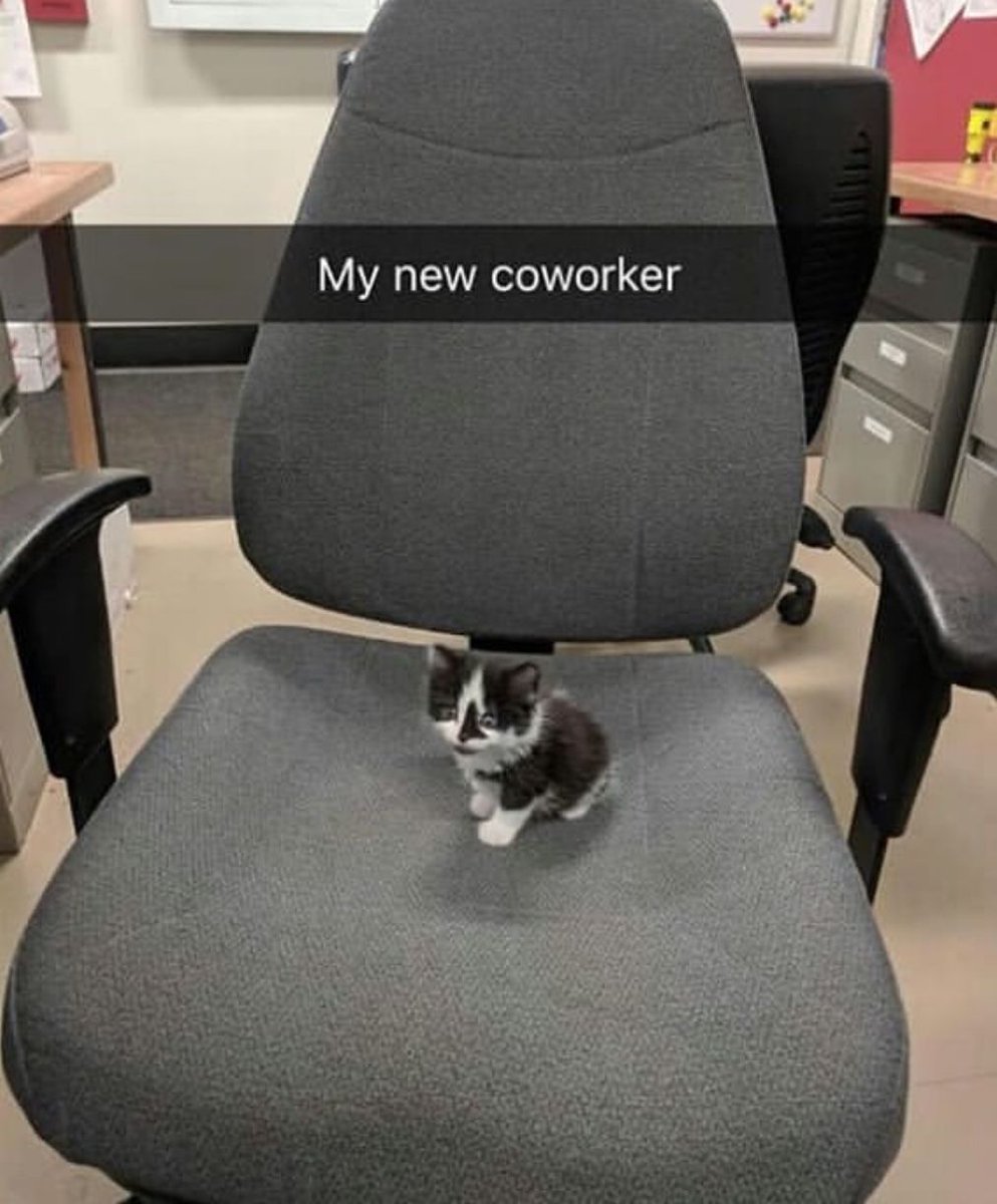 🕐HOURLY🕑 shitpost tweet media