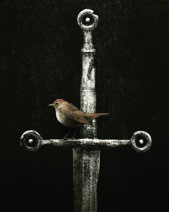 Mary-Ann Thorson𐃆 tweet media