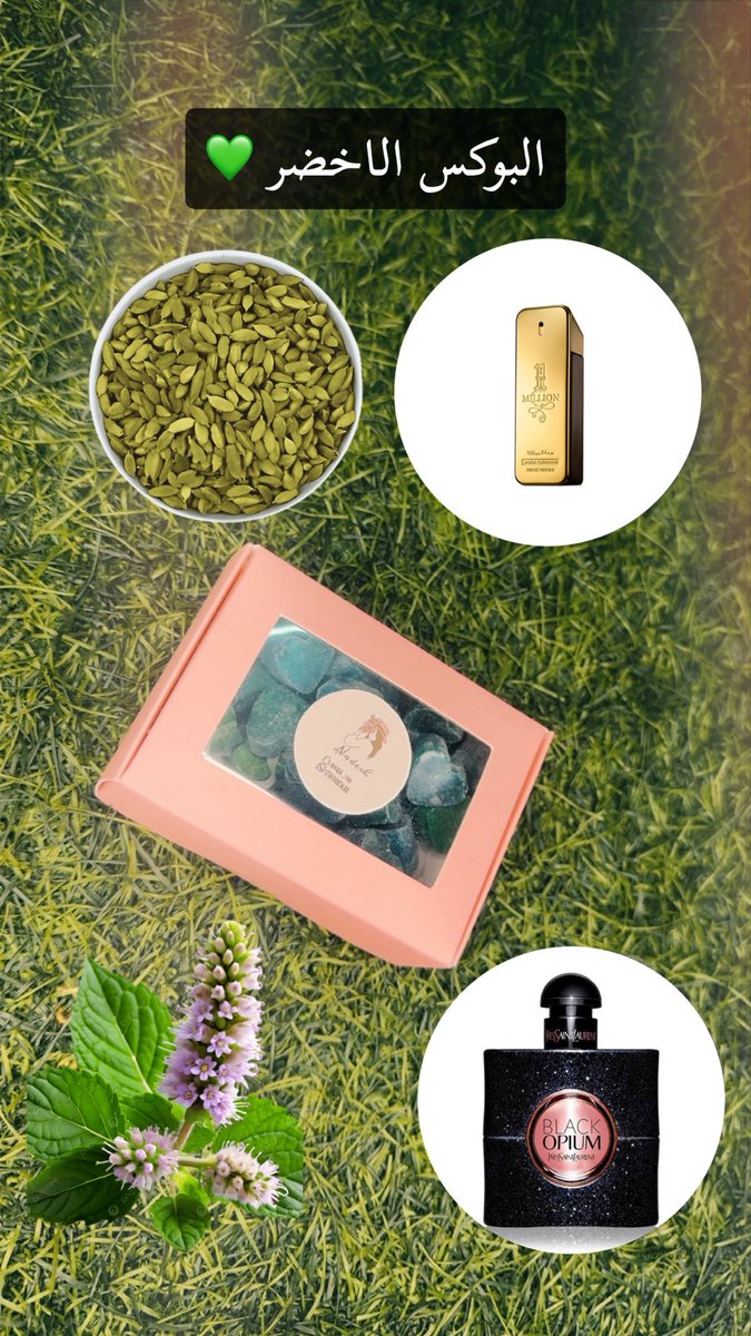#الرياض_الان #موسم_الرياض  #مستكة #مستكة_معطرة #مخمرية #مخمريات
