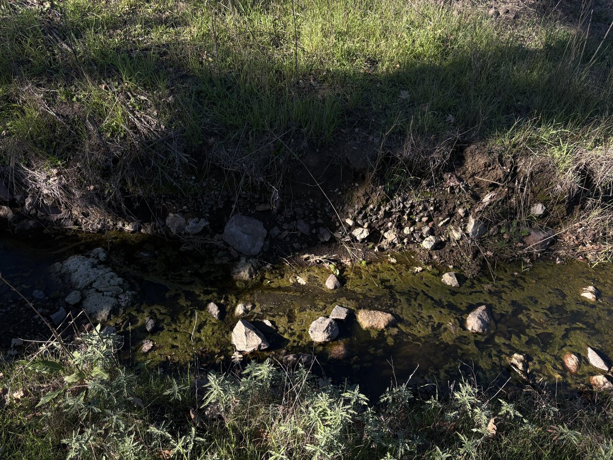 httpdenali's tweet image. leaving it all behind here 🍂