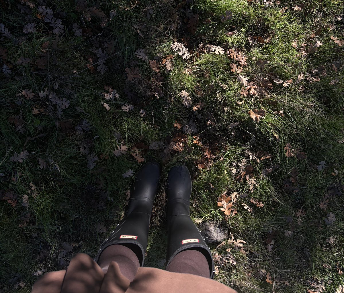 httpdenali's tweet image. leaving it all behind here 🍂