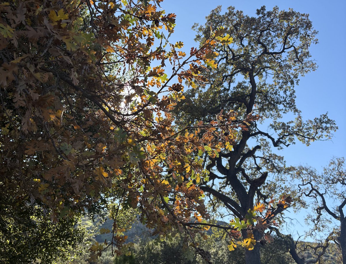 httpdenali's tweet image. leaving it all behind here 🍂