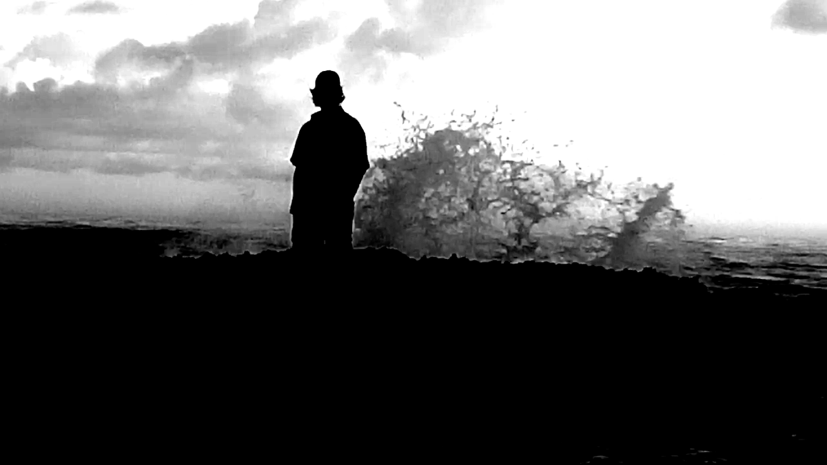 kole xidas tweet media