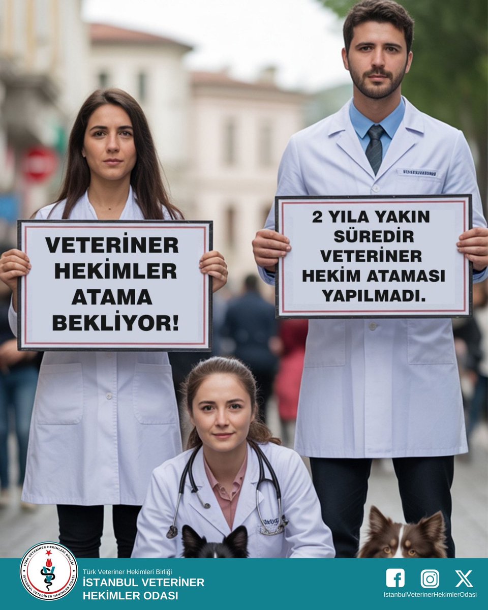 Hayvan sağlığının, gıda güvencesinin, çevre ve halk sağlığının; kendine yetebilmenin, sağlıklı nesillerin ve ekonomik refah düzeyinin teminatı Veteriner Hekimlik mesleğinin mensupları ülkesine hizmet etmek istiyor. Hizmetlerin asgari düzeyde sürdürülebilmesi için ihtiyaç duyulan